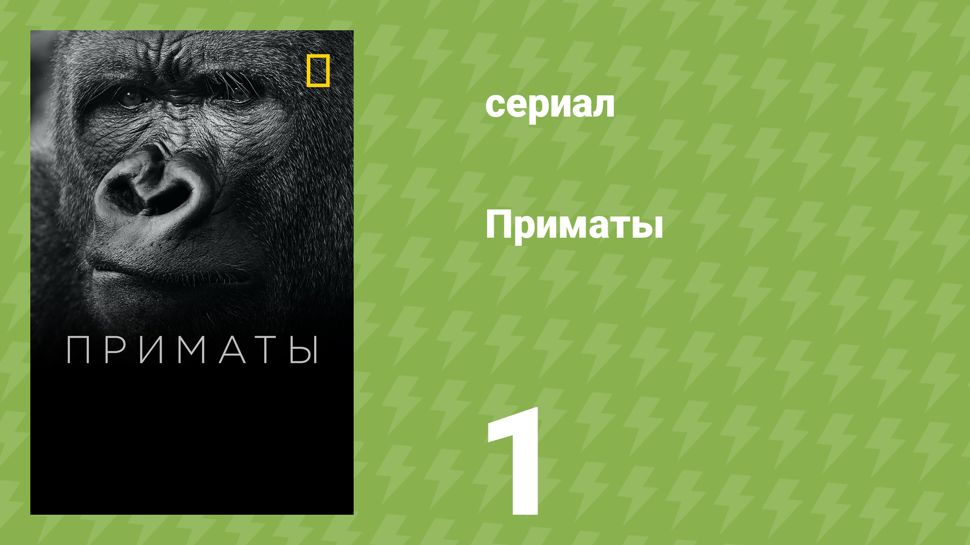 Приматы 1 серия «Тайны выживания» (документальный сериал, 2020)