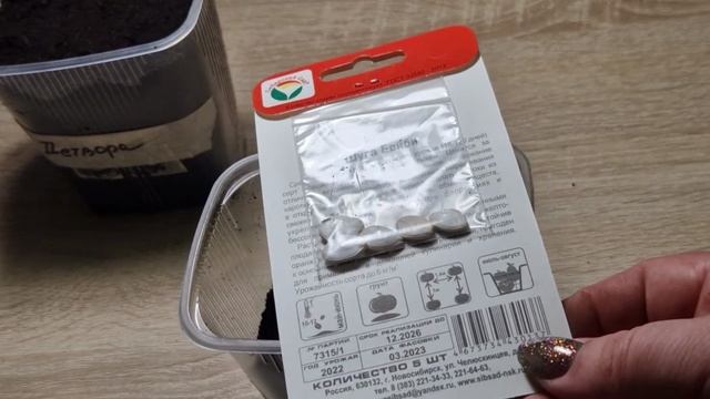 Как сажать семена тыквы на рассаду. Как сажать тыкву