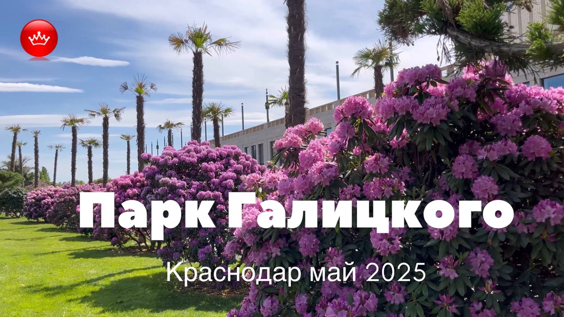 🤩🤩🤩2025 мая Парк Галицкого все увидите сами.