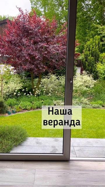 Вид из веранды на сад #сад #shortvideo