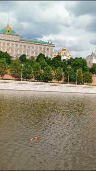 Просто шла мимо
