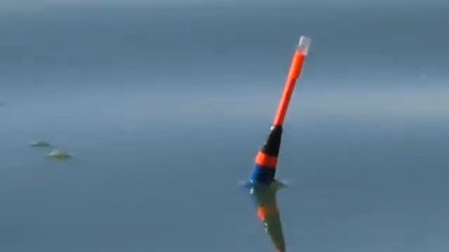 Рыбалка . Ловля карася на поплавок и пружины в октябре