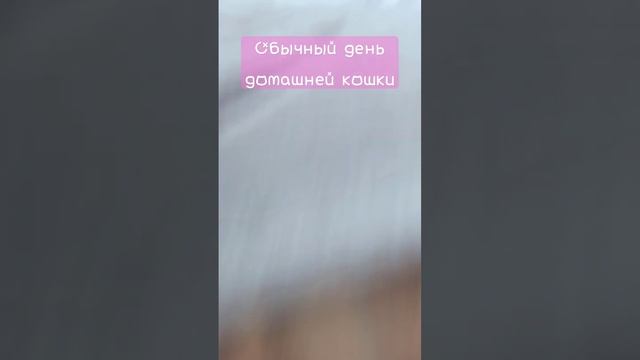 28 января 2024 г.