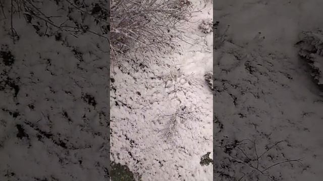 Ох и погодка....))))