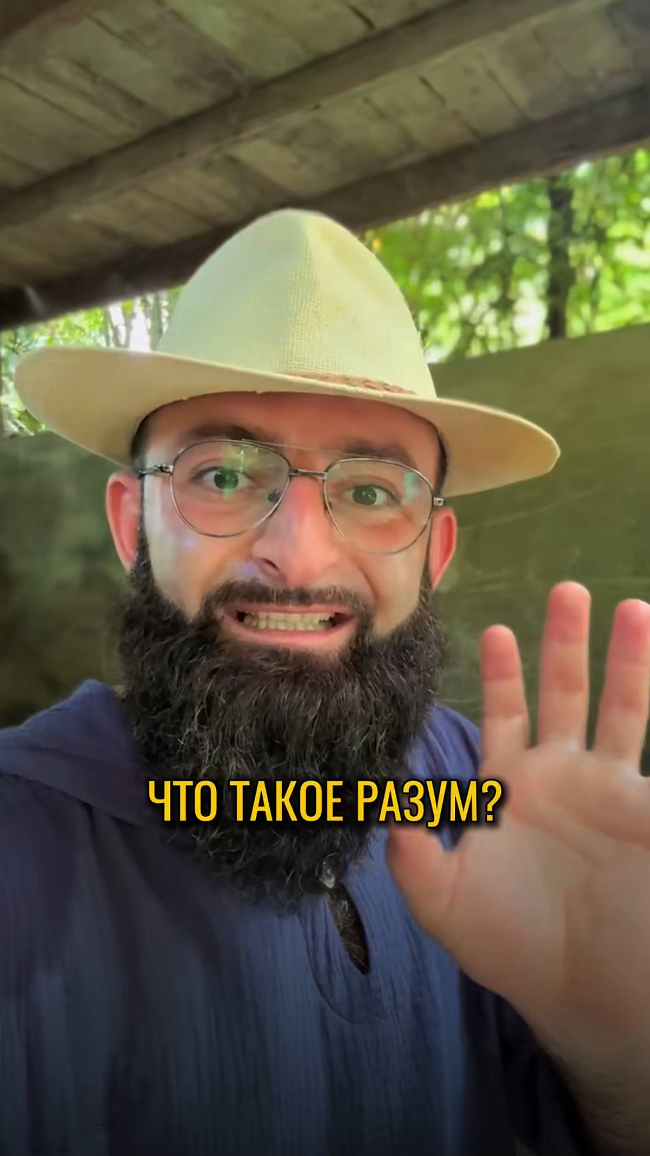 Что такое разум?