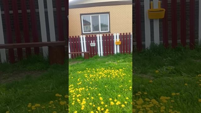Люблю в деревне жить