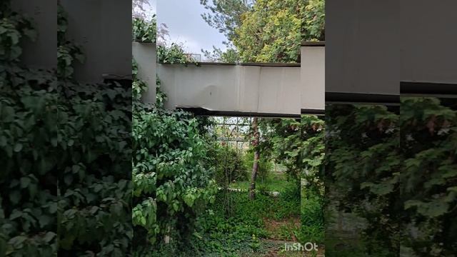 ЕРЕВАН. Ботанический сад. 29.05.25
