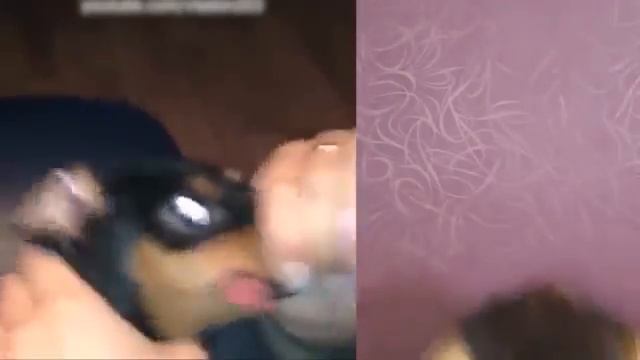 САМОЕ СМЕШНОЕ ВИДЕО В МИРЕ | ПОПРОБУЙ НЕ ЗАСМЕЯТЬСЯ С ВОДОЙ ВО РТУ ЧЕЛЛЕНДЖ!