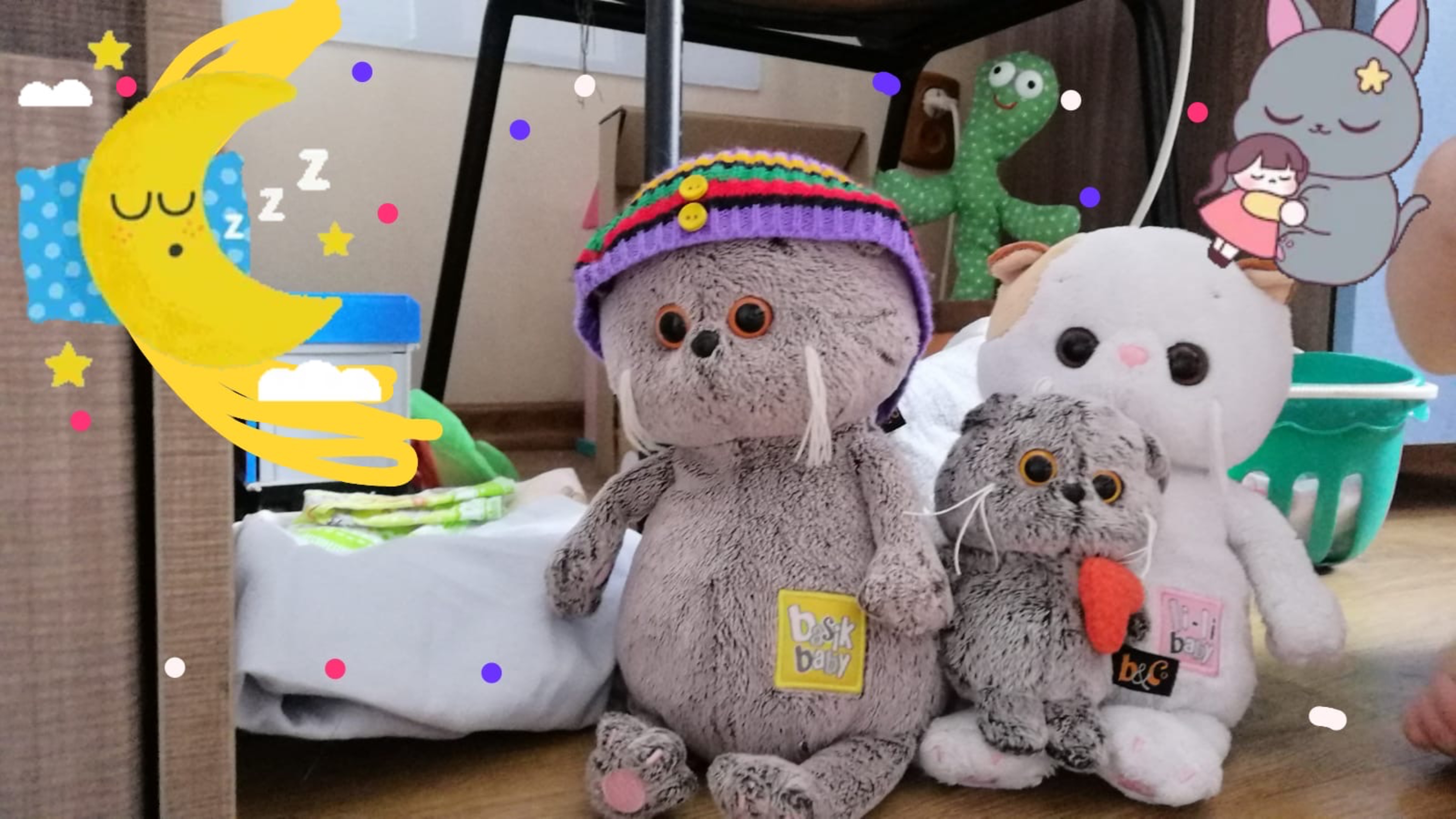 Укладываем Басика спать