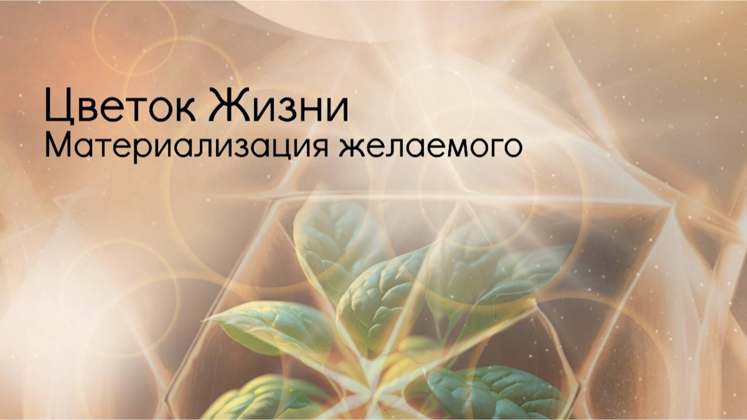 Цветок Жизни.
Сакральная геометрия мая.
Материализация желаемого.