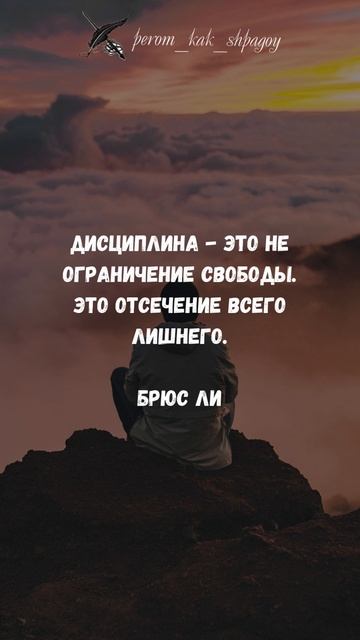 Мудрые Слова Сбалансированности
