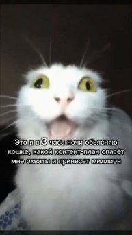 Это всегда мы