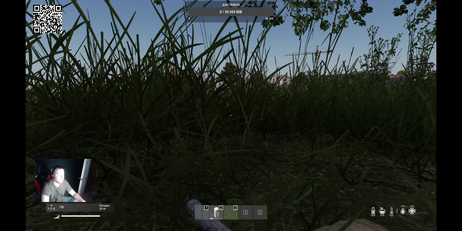 Dayz - 1 в игре