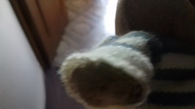 Утро с Басиками :3