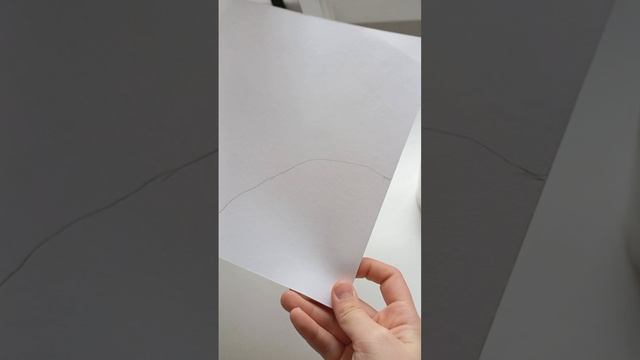 бумажные собаки ♥️🥰❤️новости насчёт ванной