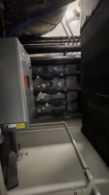 Img 0655