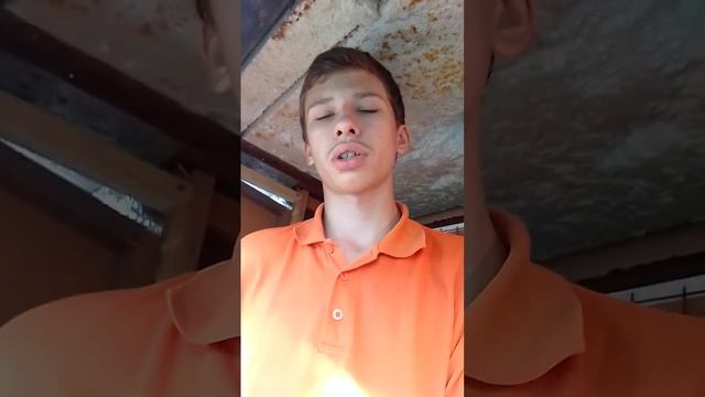 начали строить новый птичник .