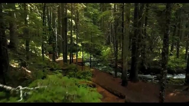 Как Молодая Теща к Зятю в Баню Пришла! Сборник Свежих А