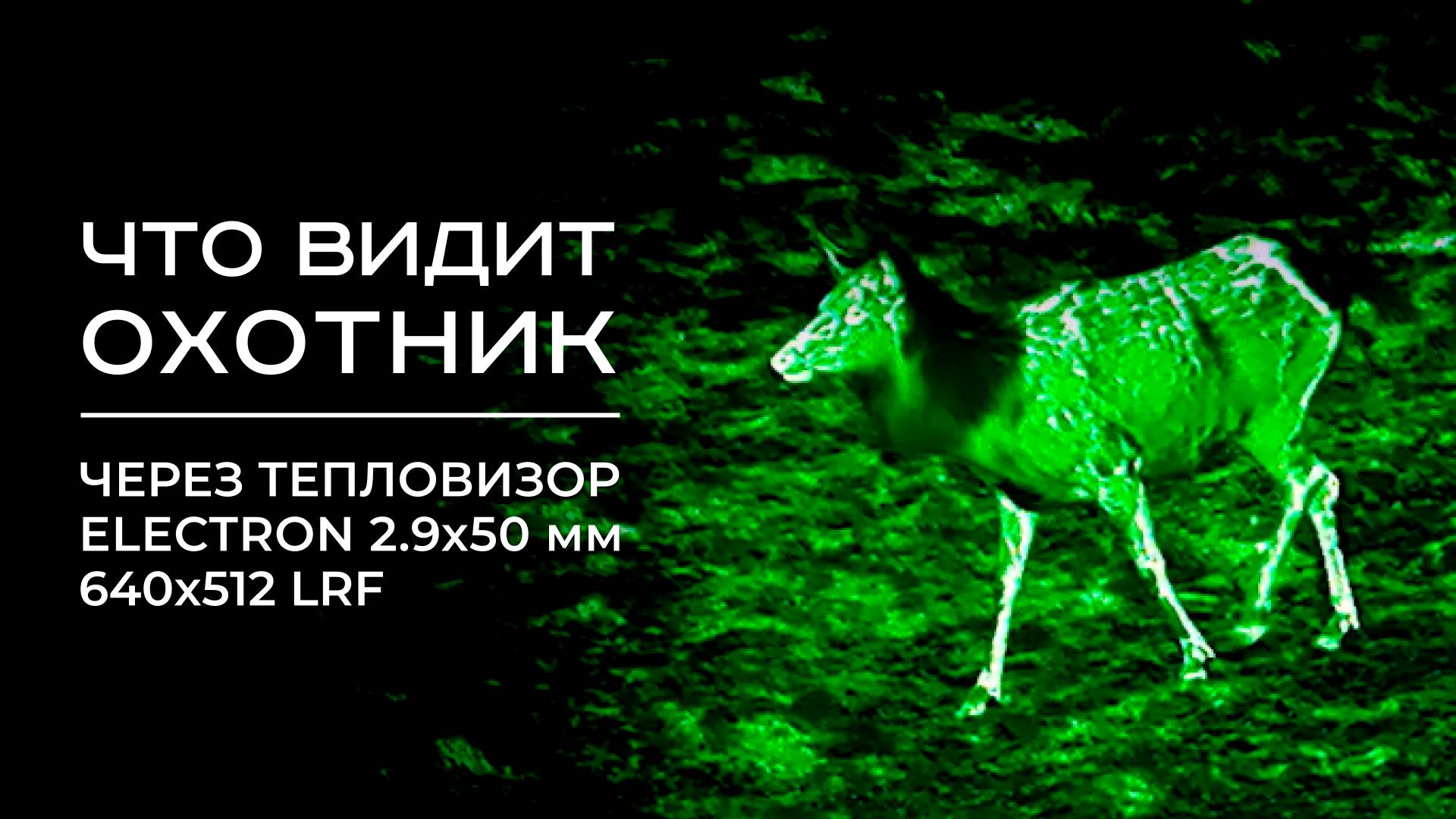 Что видит охотник через тепловизор ELECTRON 2.9x 50мм 640x512 LRF