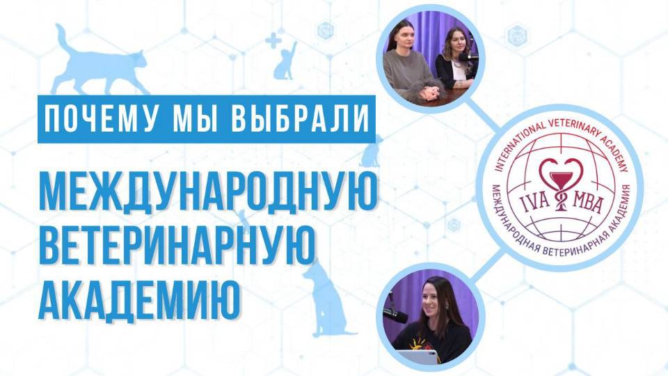 Почему мы выбрали Международную Ветеринарную Академию