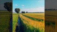 Замотали, обдурили. Стихи - Лев Леонтьев. Музыка и вокал - ИИ.