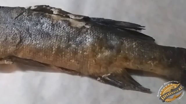 Щука горячего копчения от Kopchenovo.Ru