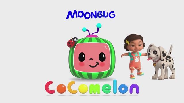 Cody has a Boo Boo! Nina Saves the Day! ｜ CoComelon Nursery Adventure