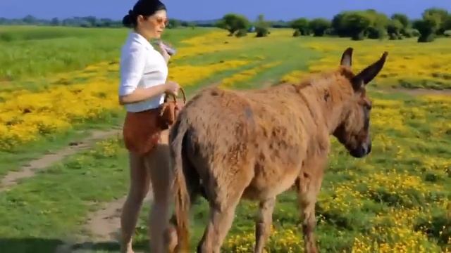 дело было летом