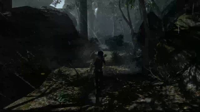 Tomb Raider (2013) на русском #1