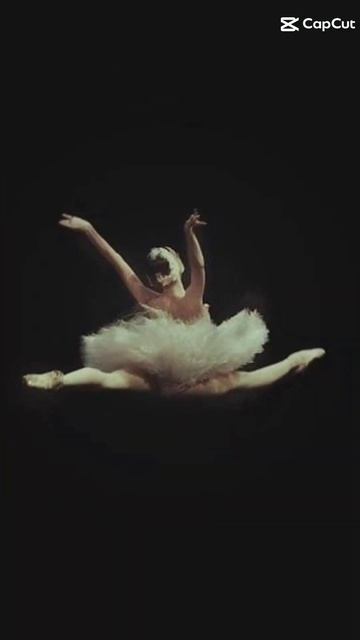 #shortsvideo #video #рек #балет#