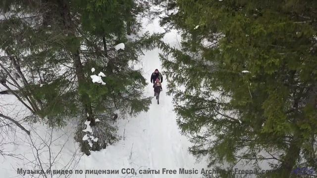 Поля и леса, когда музыка творит чудо - La Splendeur (demo) -- LiSe -- Demo