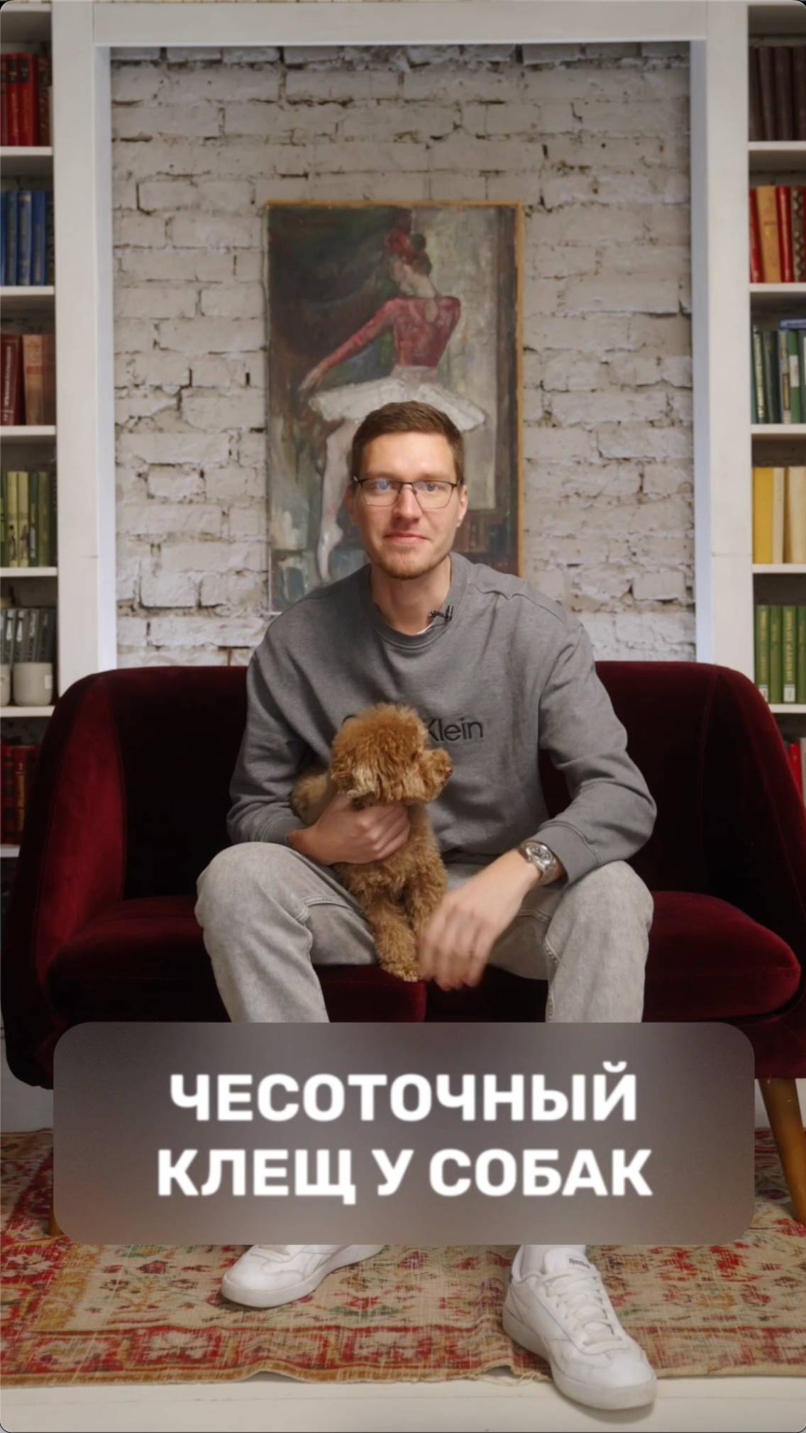 Чесоточный клещ у собак