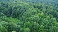 Клип, созданный искусственной нейросетью - новое слово в искусстве! - Kingly -- Ketsa -- Through to