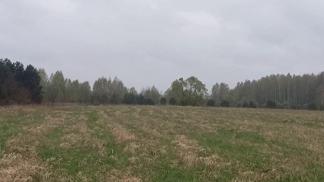 Торги на земельный участок с КН 50:04:0140119:461