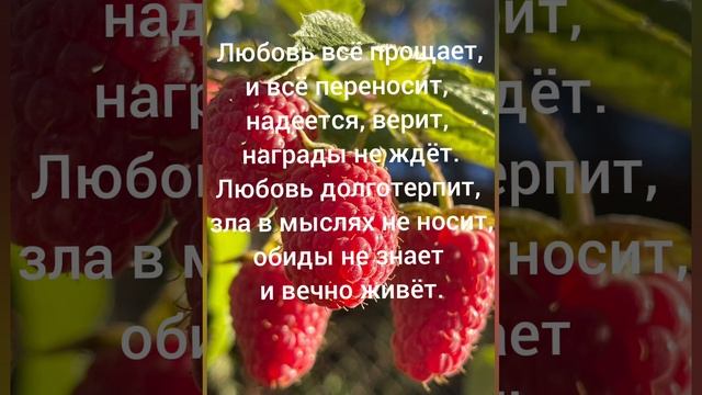 Мы каждый день экзамены сдаём
