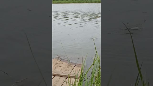 Моё второе хобби 😇  Первое шить красивые сумочки🥰