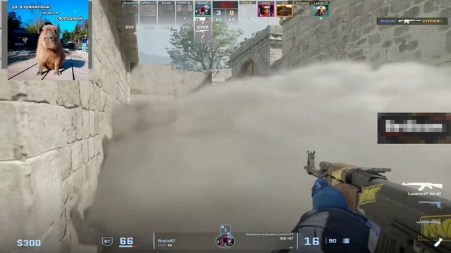 BAZ И KYOUSUKE ЖЁСТКО ЗАПОТЕЛИ В ПРЕМЕ НА FACEIT!! СЕМЕН БАКИН В