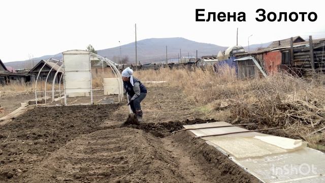 У плановика все идет по плану