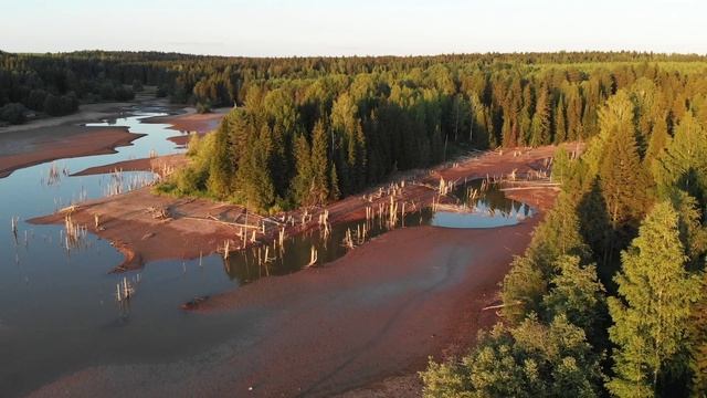 Полёт над обмелевшим прудом.