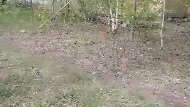 Мусор в профилактории п. ГРЭС