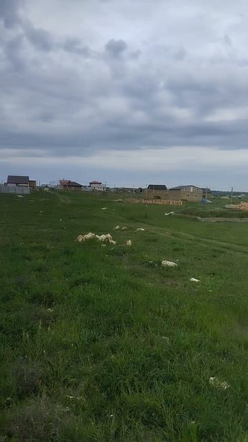 Мирное участок 2375