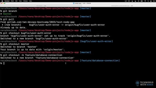 3.6 Concept of Branches