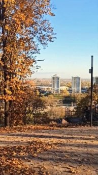 Качаемся на качели с красивым видом #мэздах #моррисон #