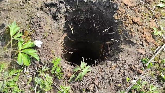 ручной бур для земли