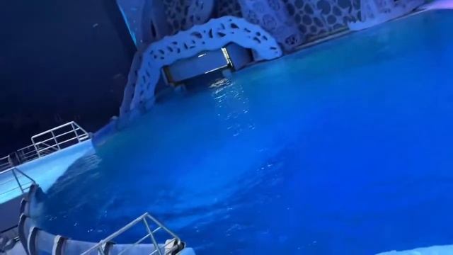ФРАМЕ ТАМЕР ЗАПИСЬ СТРИМА ОТ 02.10.2022 | Бабушка др | frametamer666