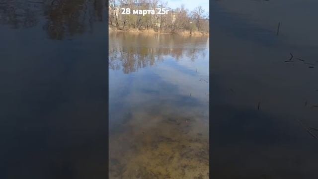 Весна. Микрорыба в городской черте. 28.03.2025 р. #рыбалка #fi