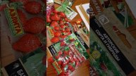 Весна# Семена#Дача#