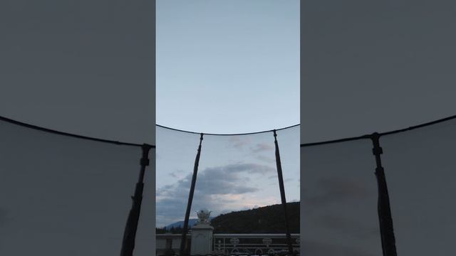 моя семья