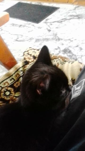 VID_20250507_124420.mp4