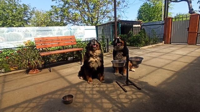 С днём связиста!